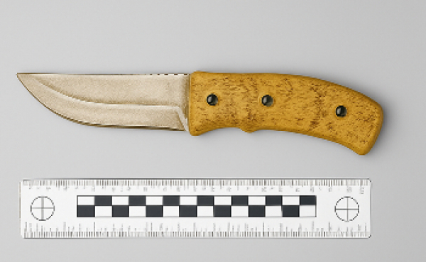 Масштабные линейки для следственно-экспертной деятельности