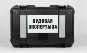 Судебная экспертиза 1